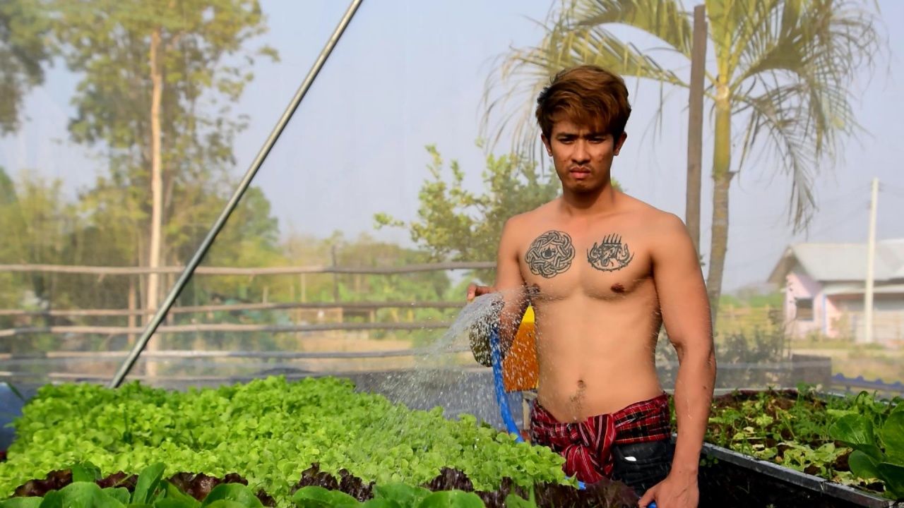 รดน้ำผักยังเท่