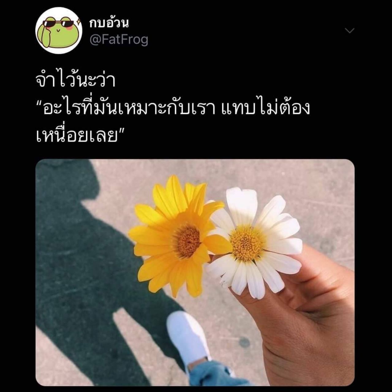 ภาพจากอินสตาแกรม ต่าย อรทัย