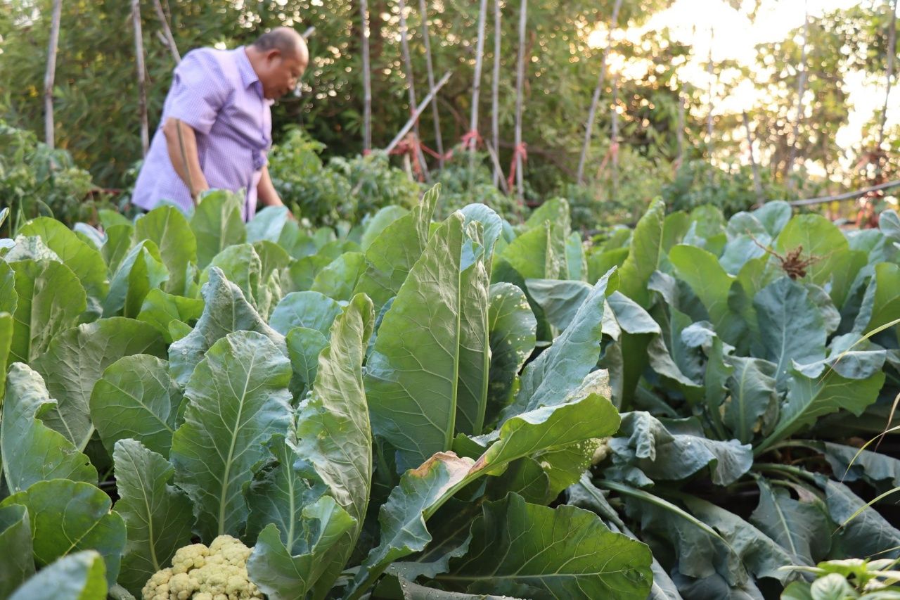 กิจกรรมแห่งความสุข