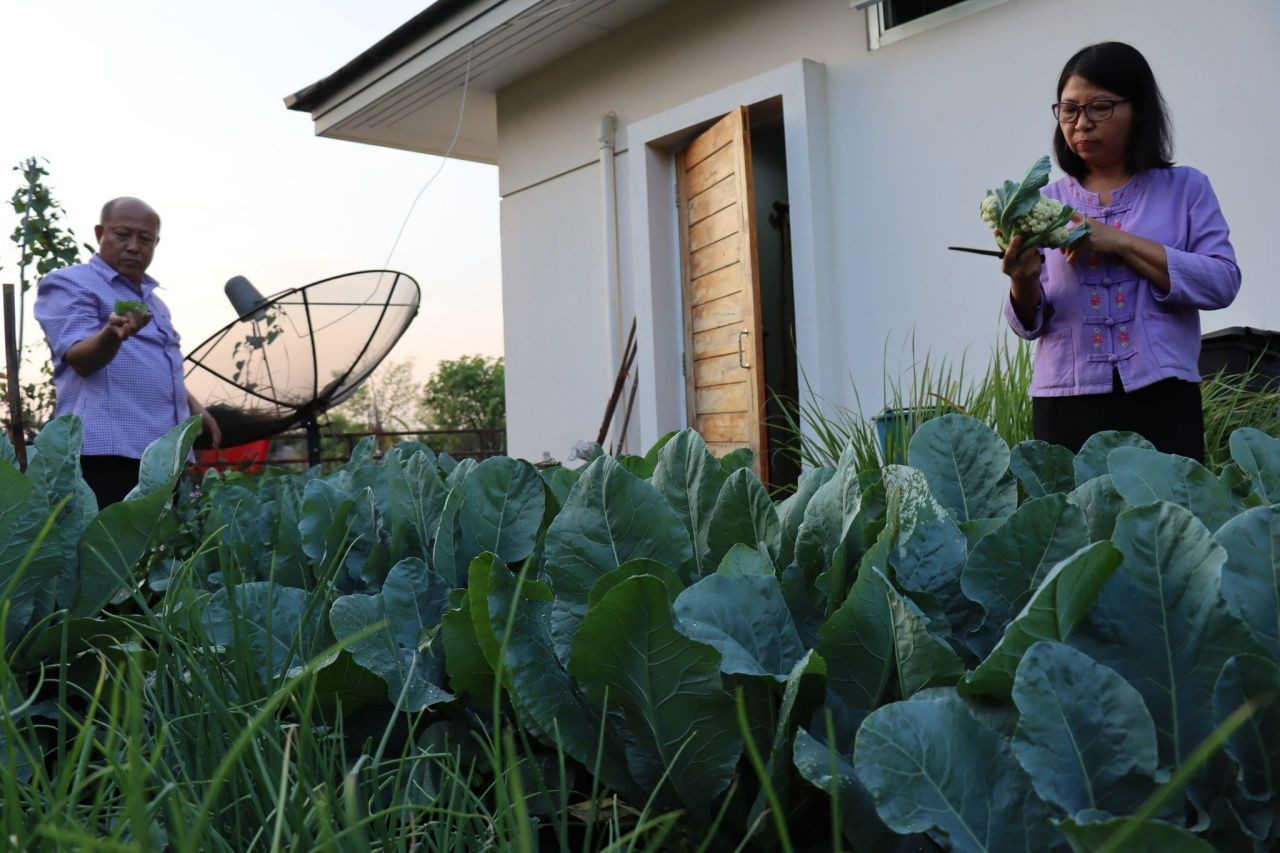 กินได้สนิทใจ ปลอดภัยแน่นอน เพราะเราปลูกเอง