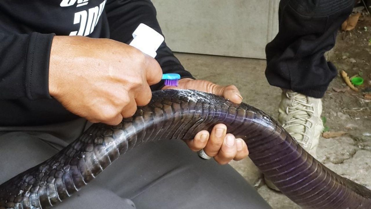 ใส่ยาทำแผล