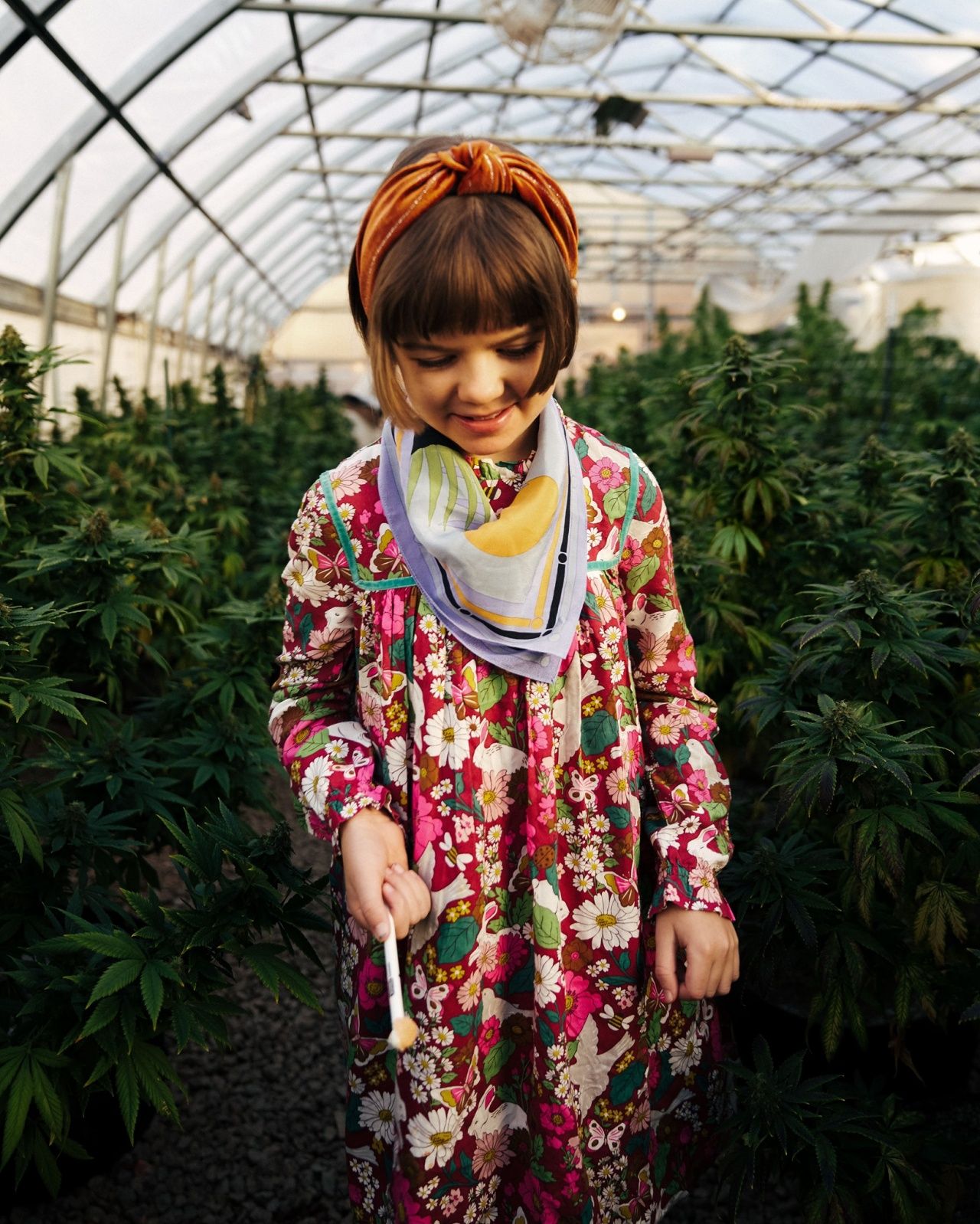 ภาพจากเฟซบุ๊ก : Charlotte's Web CBD