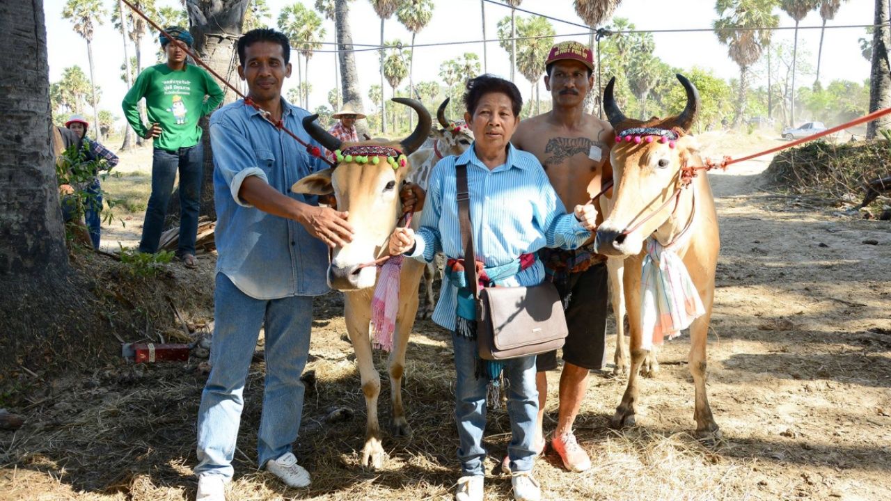 มีวัวดี เป็นศักดิ์เป็นศรีกับเจ้าของ