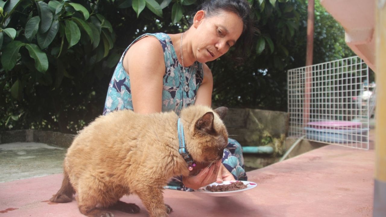 อายุ 34 ปี มีอาการหลงลืมเล็กน้อย