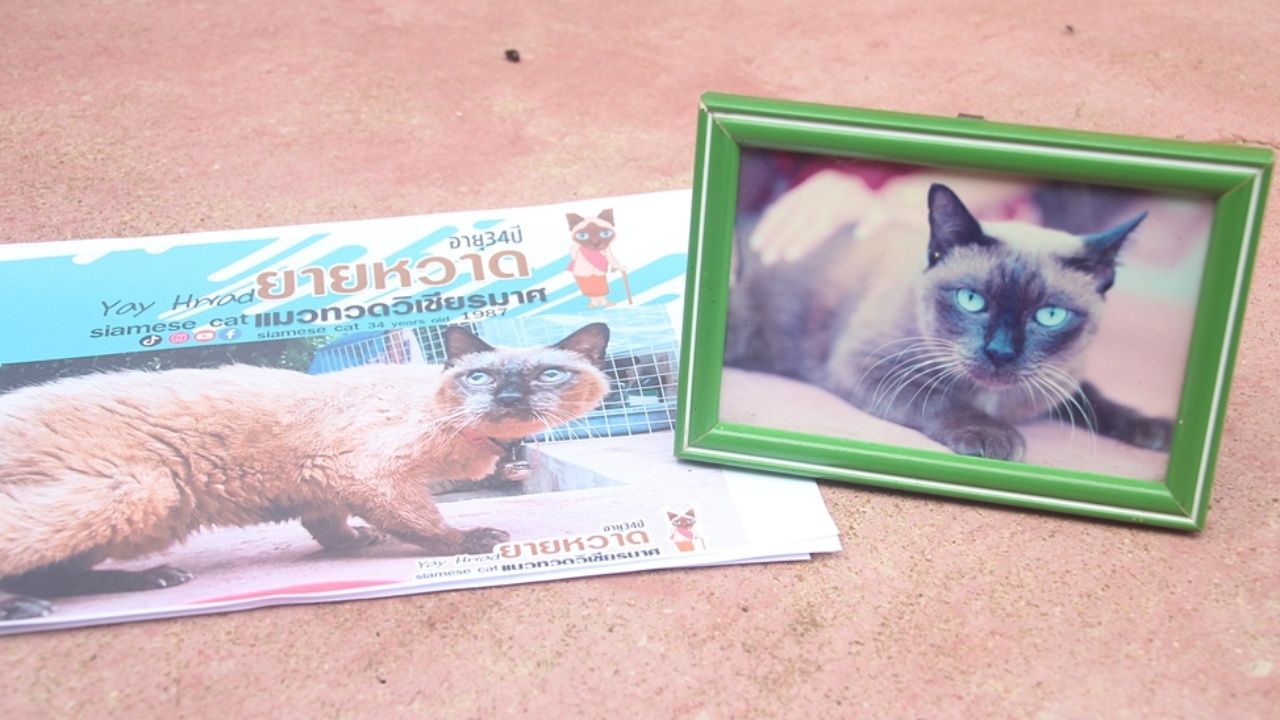 คุณทวดวิเชียรมาศ อายุ 34 ปี