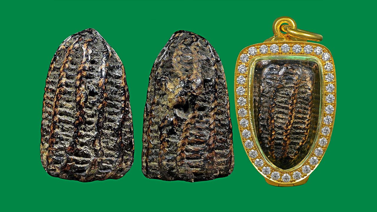 ตะกรุดไม้ครู (นิ้วเพชรพระอิศวร) หลวงปู่ภู วัดอินทรวิหาร ของ คำรณ สัยยะนิฐี.