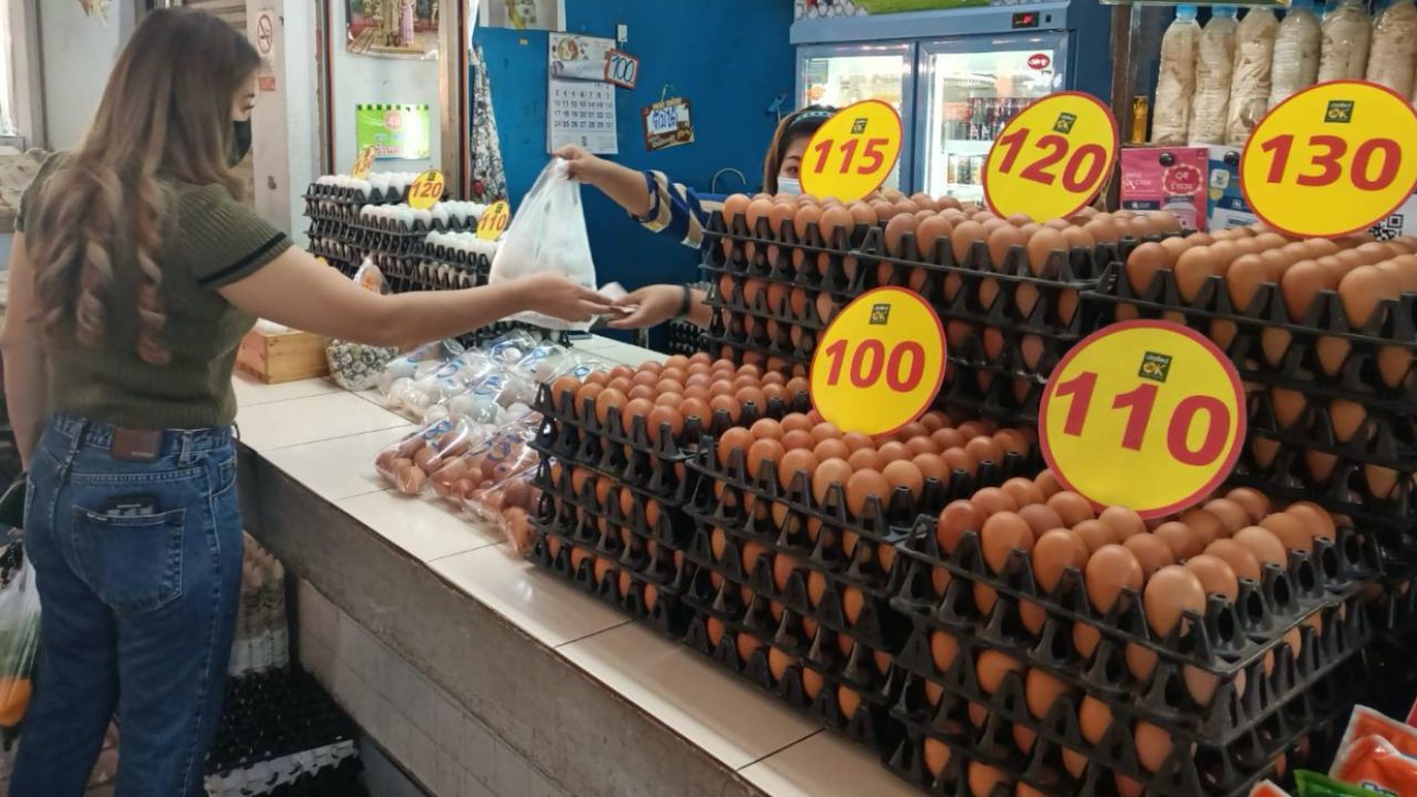 ไข่ไก่ราคายังพุ่ง เพิ่มขึ้นอีกแผงละ 3 บาท กระทบผู้บริโภค