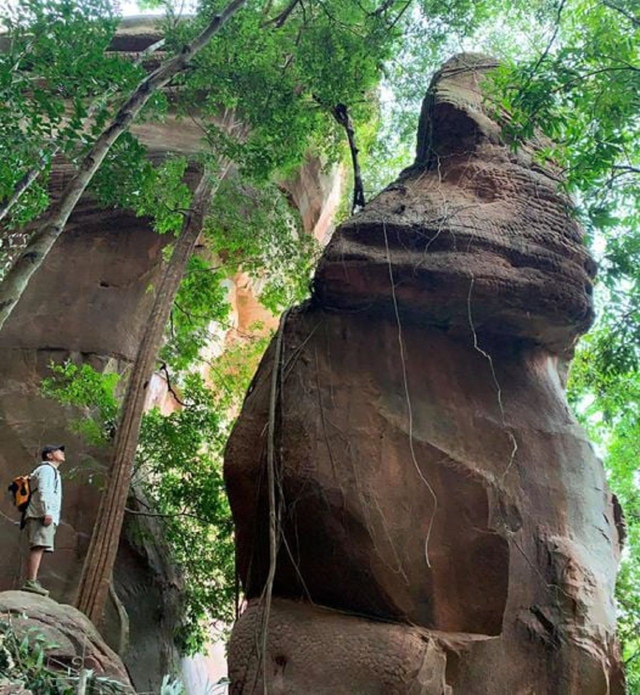 ภาพจากเพจอุทยานแห่งชาติภูลังกา จังหวัดนครพนม 