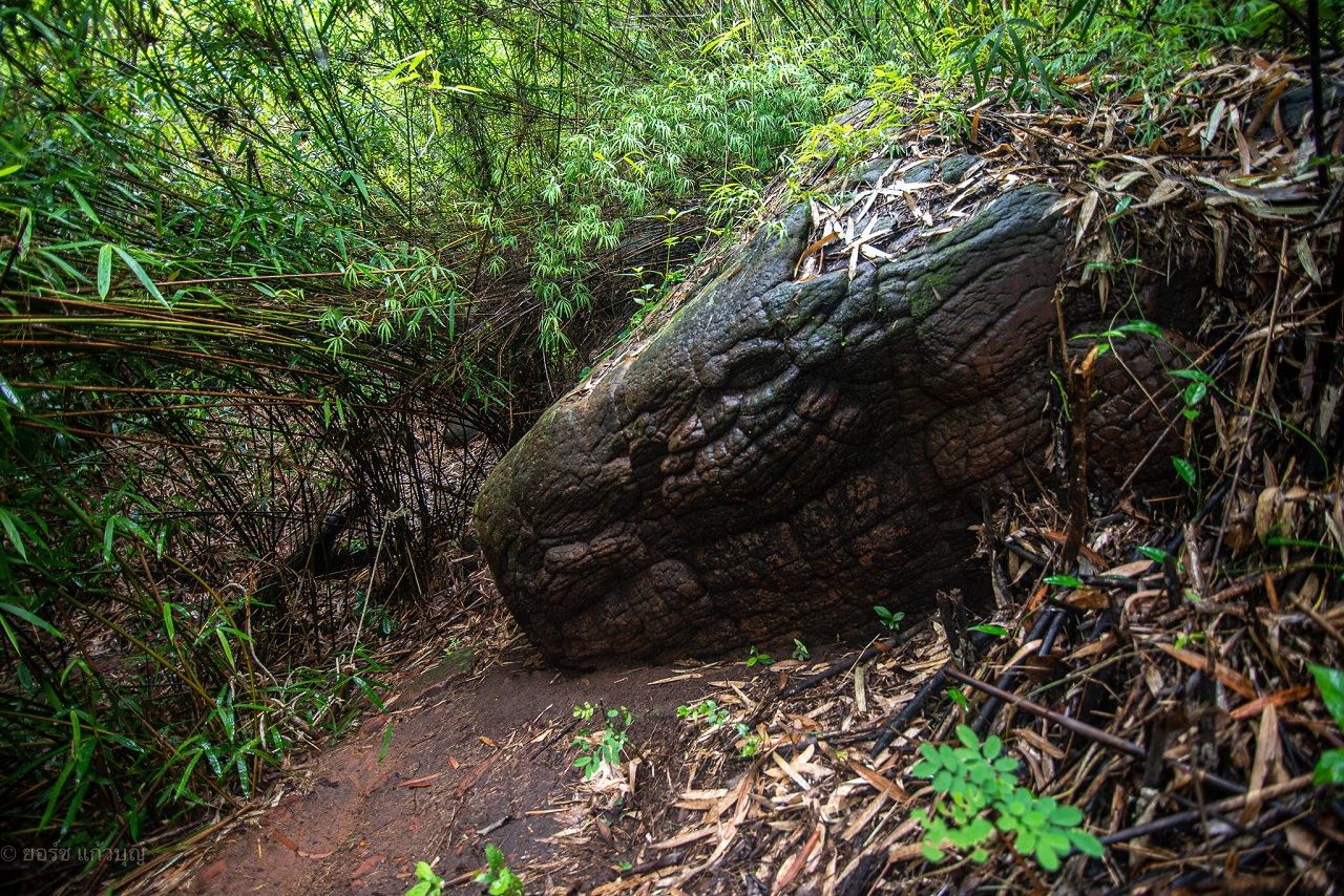 ภาพจากเพจอุทยานแห่งชาติภูลังกา จังหวัดนครพนม 