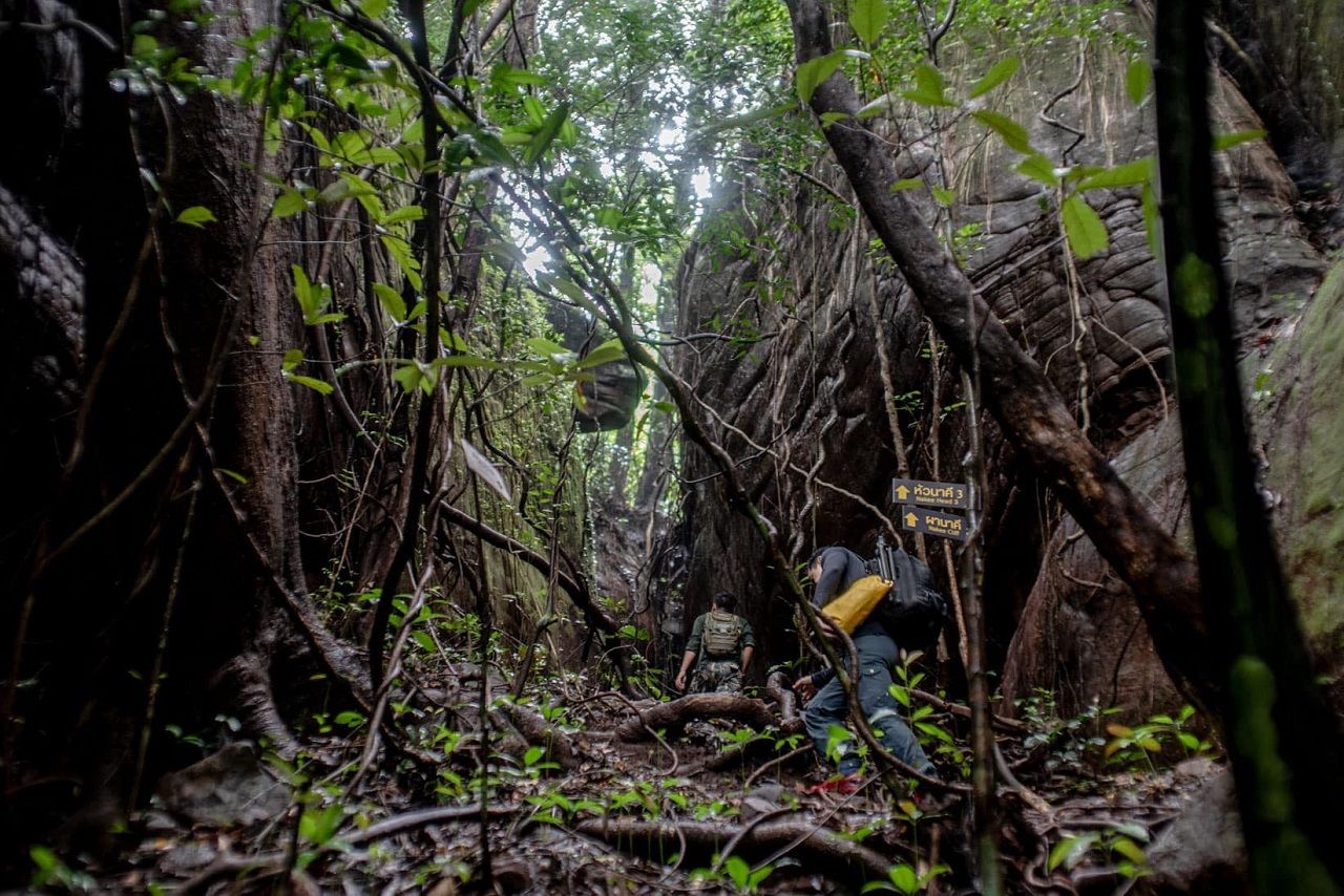 ภาพจากเพจอุทยานแห่งชาติภูลังกา จังหวัดนครพนม 