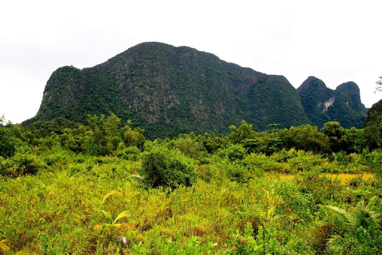 ภูเขาช้าง จังหวัดพังงา เป็นที่ตั้งของถ้ำพุงช้าง