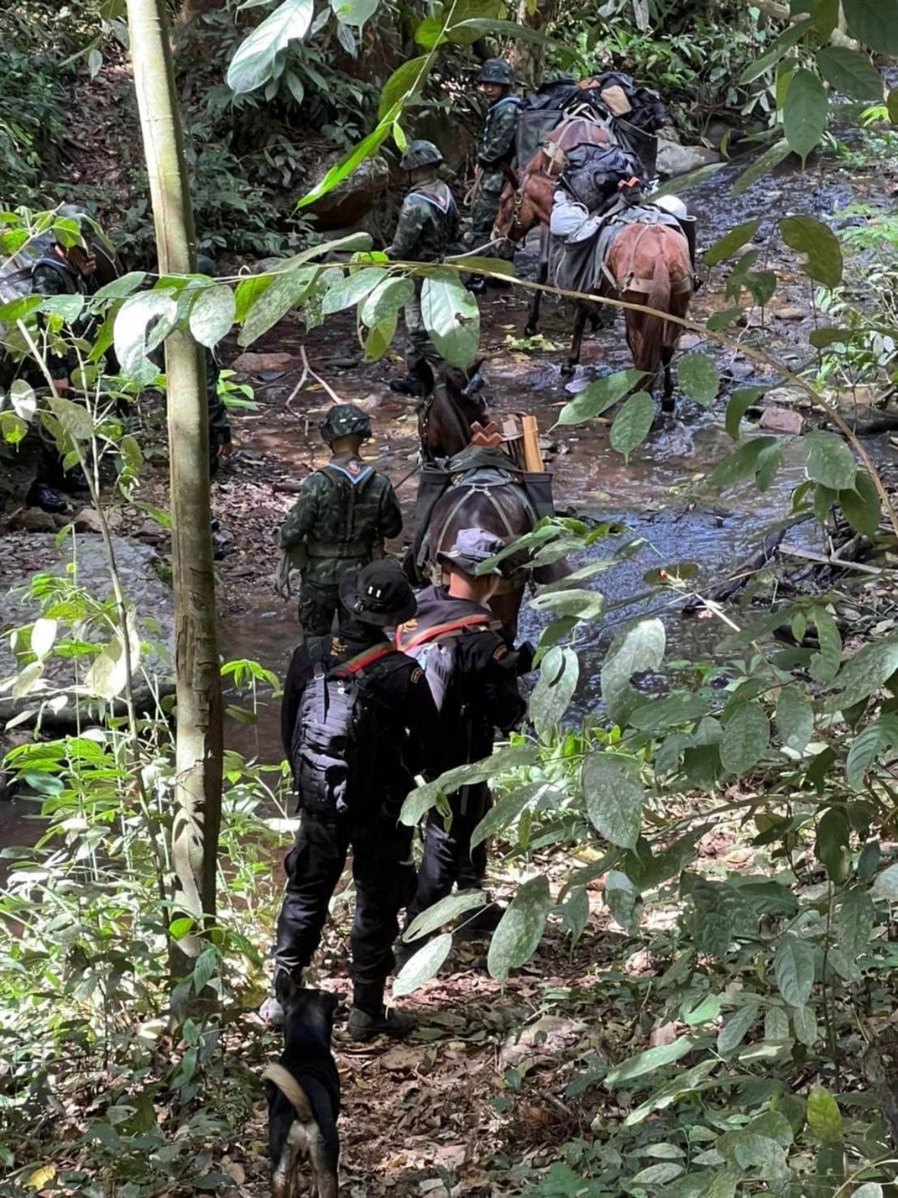 วิชาล่องไพร ที่กองพันสัตว์ต่าง (ค่ายตากสิน) จังหวัดเชียงใหม่