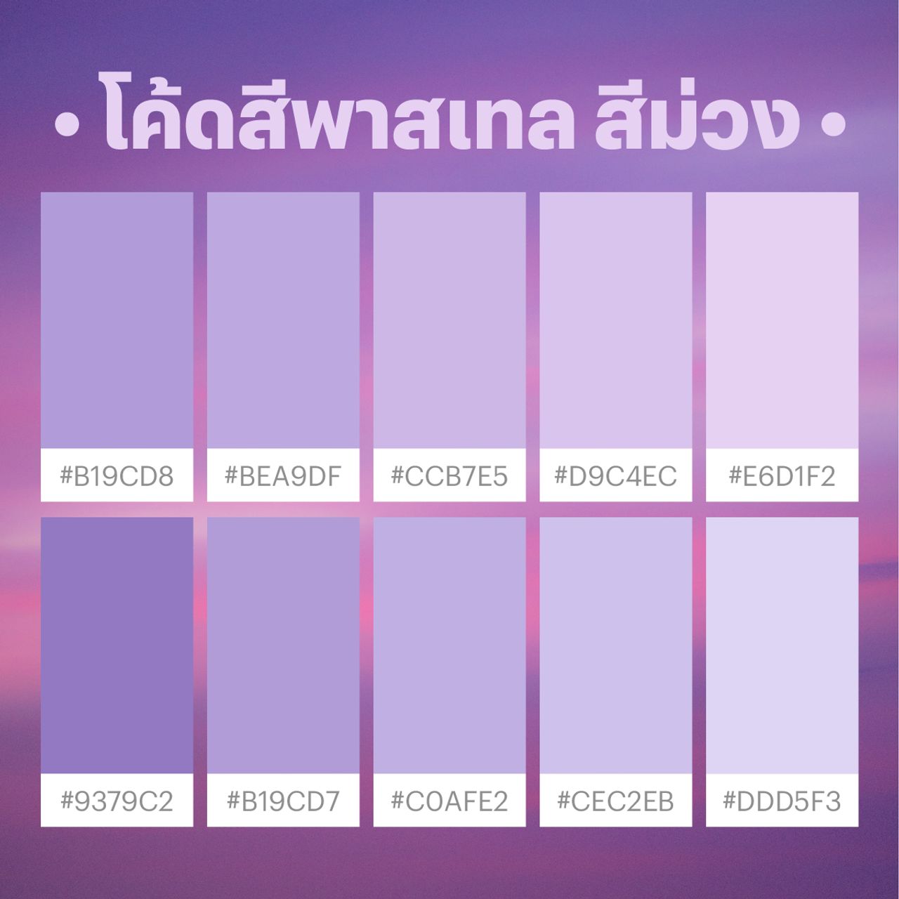 โค้ดสีพาสเทล ม่วง