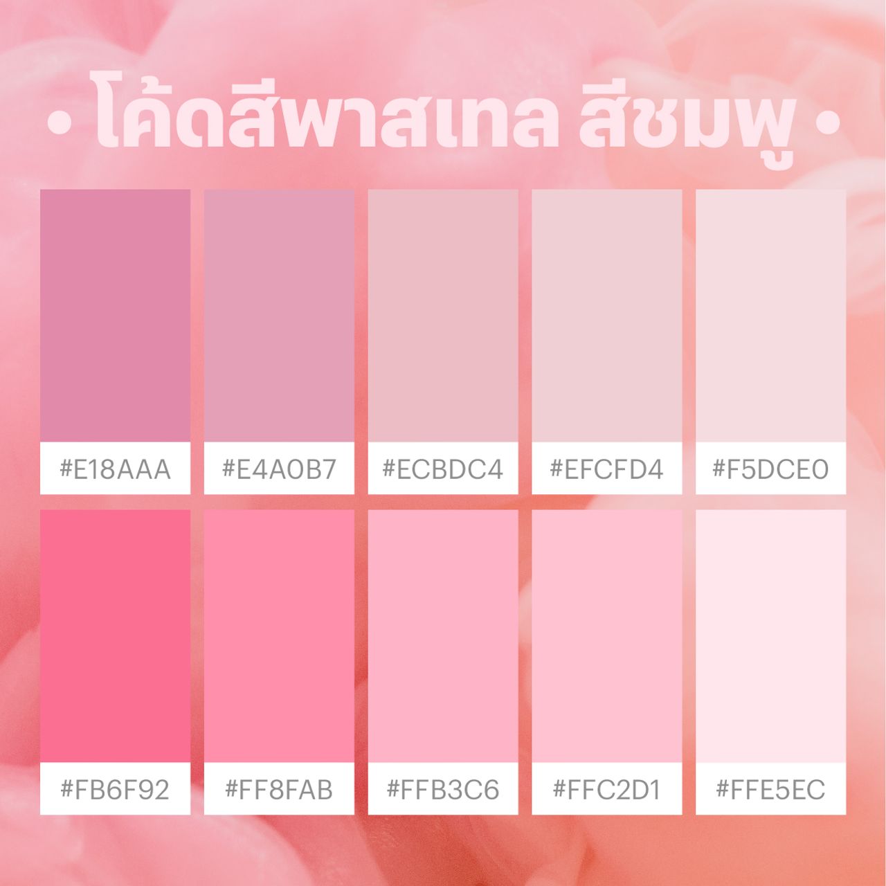 โค้ดสีพาสเทล ชมพู