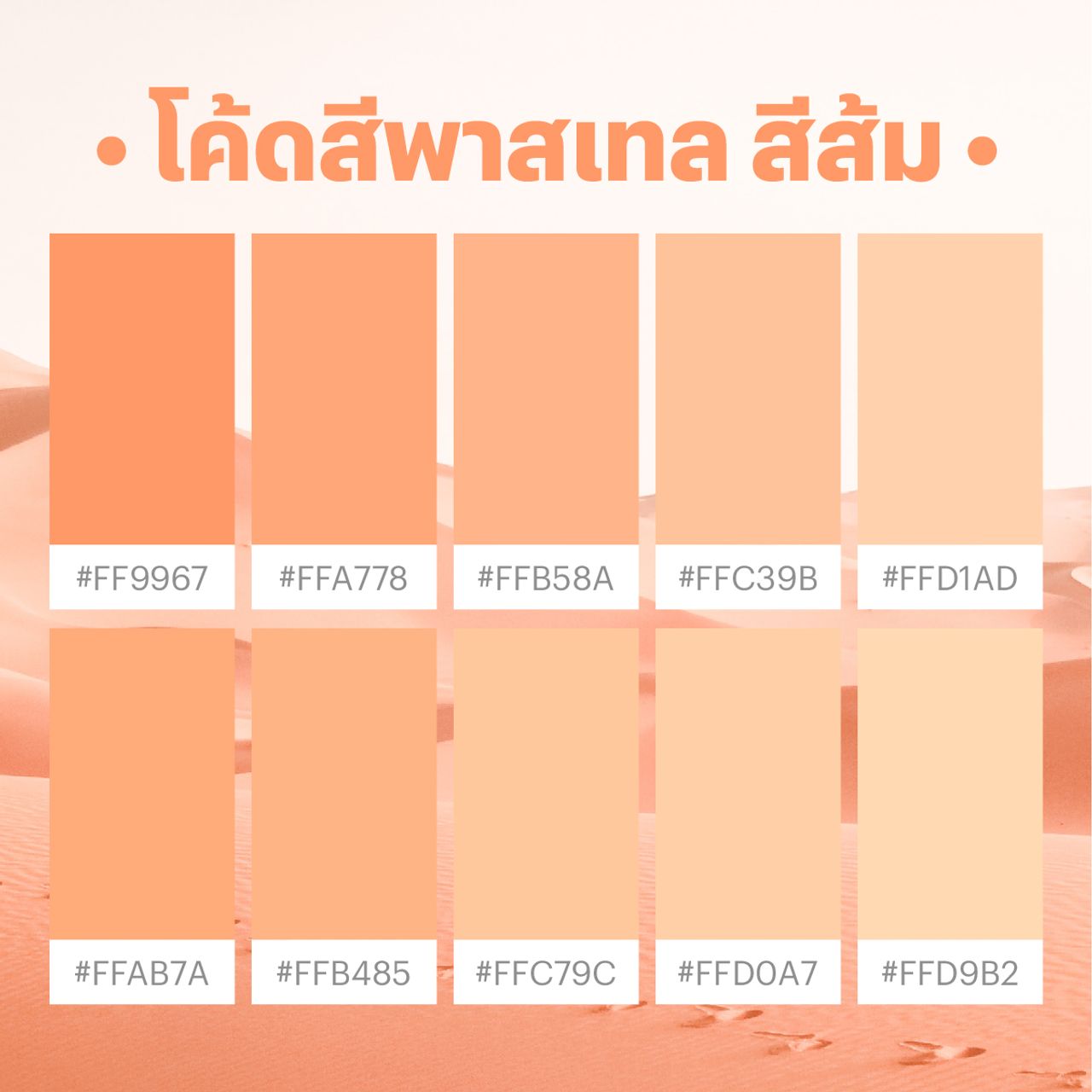 โค้ดสีพาสเทล ส้ม