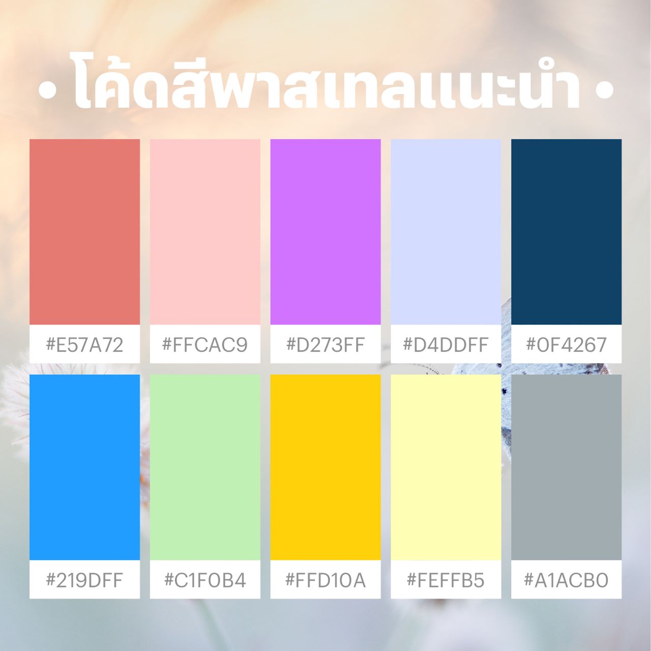 แนะนำโค้ดสีพาสเทล ไฮไลต์