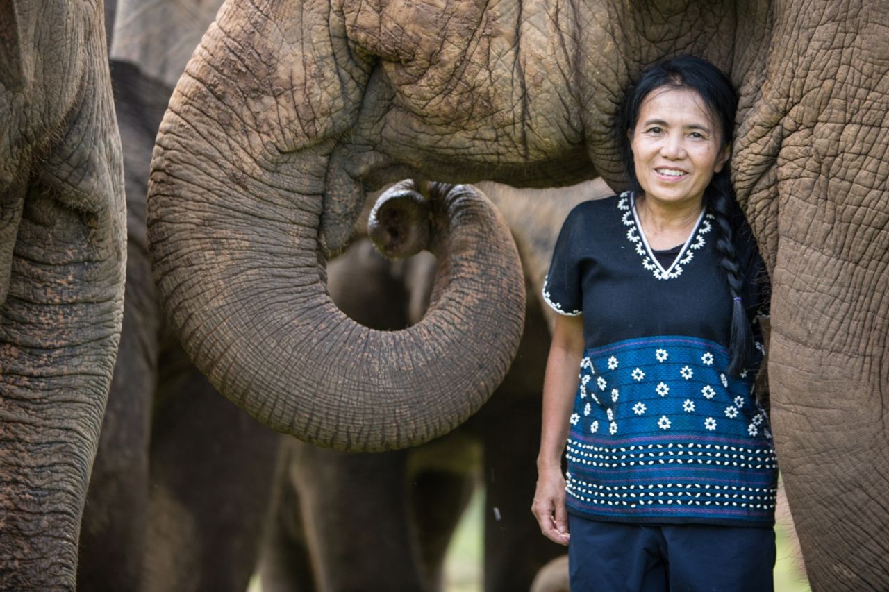 แสงเดือน ชัยเลิศ ประธานมูลนิธิอนุรักษ์ช้างและสิ่งแวดล้อม