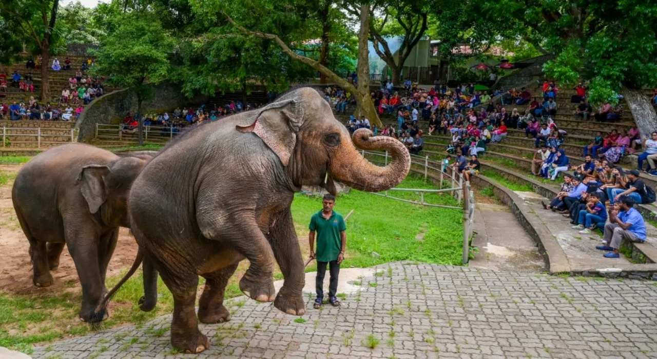 สัตว์ในสวนสัตว์ชอบให้คนมาดู เหมือนที่เราชอบไปดูสัตว์มั้ย?