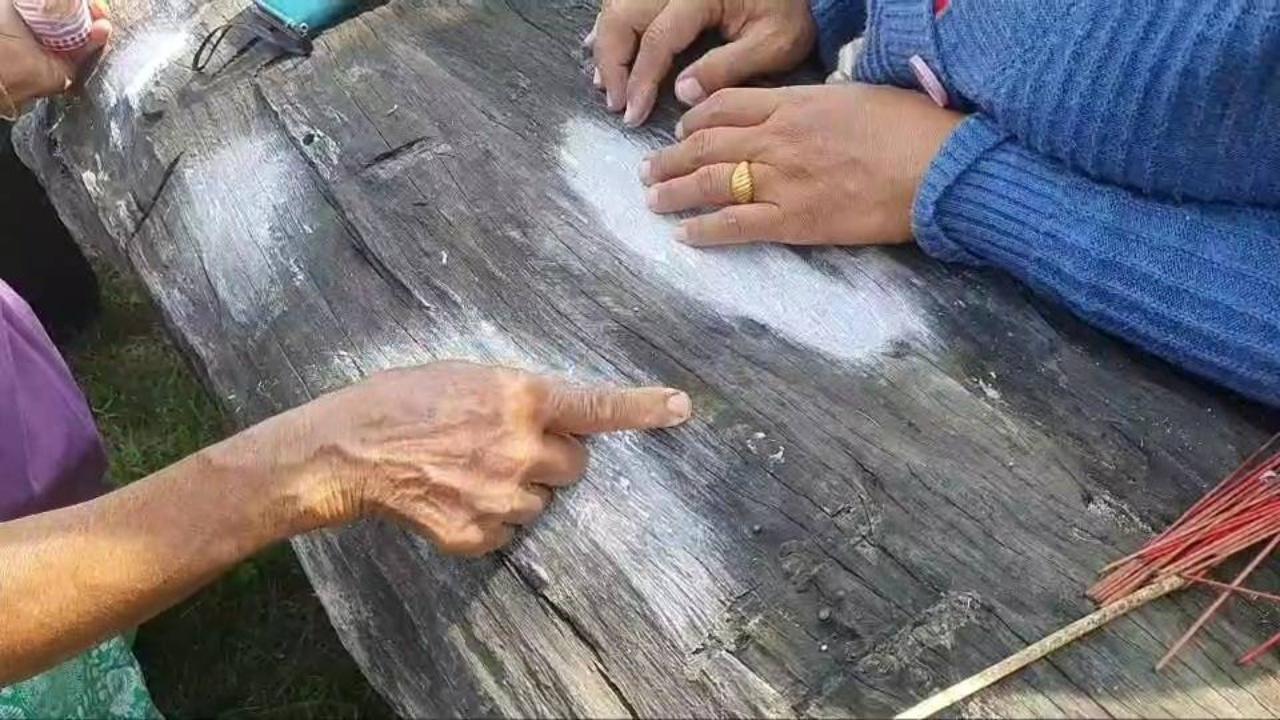คอหวยจุดธูป ลูบแป้ง ขอ "เลขเด็ด" ตอตะเคียนอายุ 100 ปี