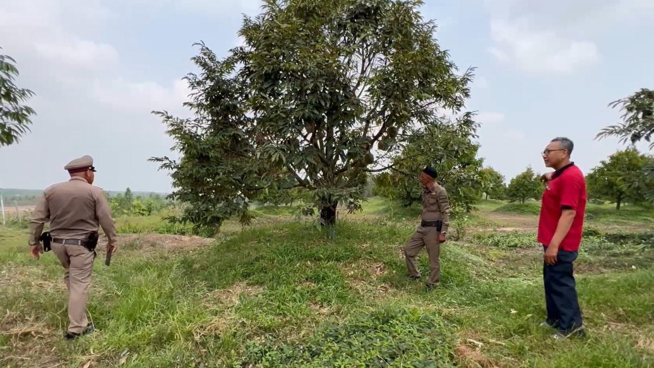 ขโมยชุก ผุดไอเดีย ฝากทุเรียนไว้กับตำรวจ โรงพักแรกของไทย ป้องกันสูญหาย