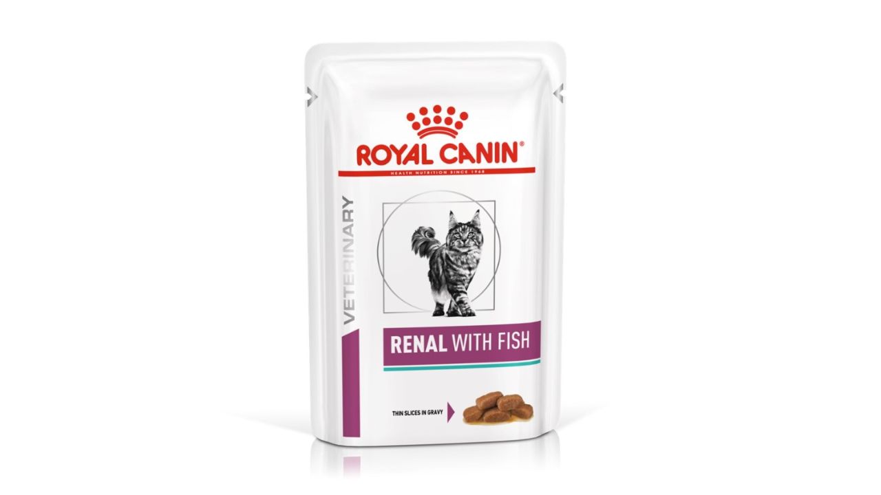 อาหารแมว ยี่ห้อไหนดี : อาหารแมวโรยัล คานิน (Royal Canin)