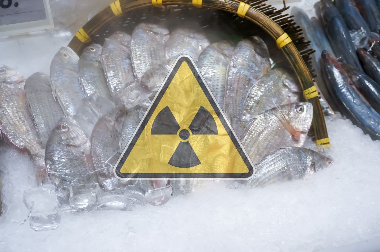 หากซีเซียม-137 ปนเปื้อนในสิ่งแวดล้อม เช่น แหล่งน้ำ น้ำใต้ดิน น้ำผิวดิน ก็นำไปสู่การเกิดโรคมะเร็งในอนาคตได้