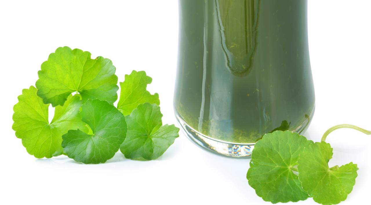 งานวิจัยพบว่าบัวบก ช่วยลดผลกระทบจากรังสี 