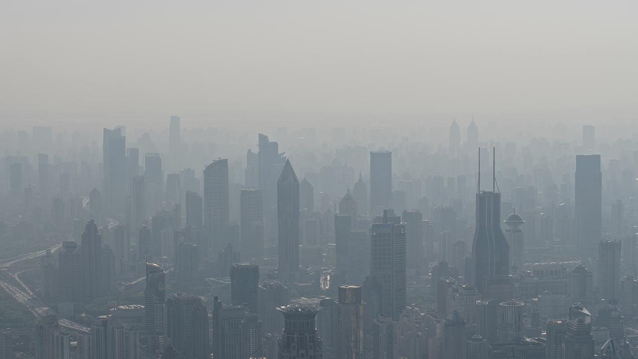 วช.โชว์ “สวนป้องกันฝุ่น PM 2.5” แห่งแรก ใช้ระบบนิเวศป่าในเมืองลดมลพิษ