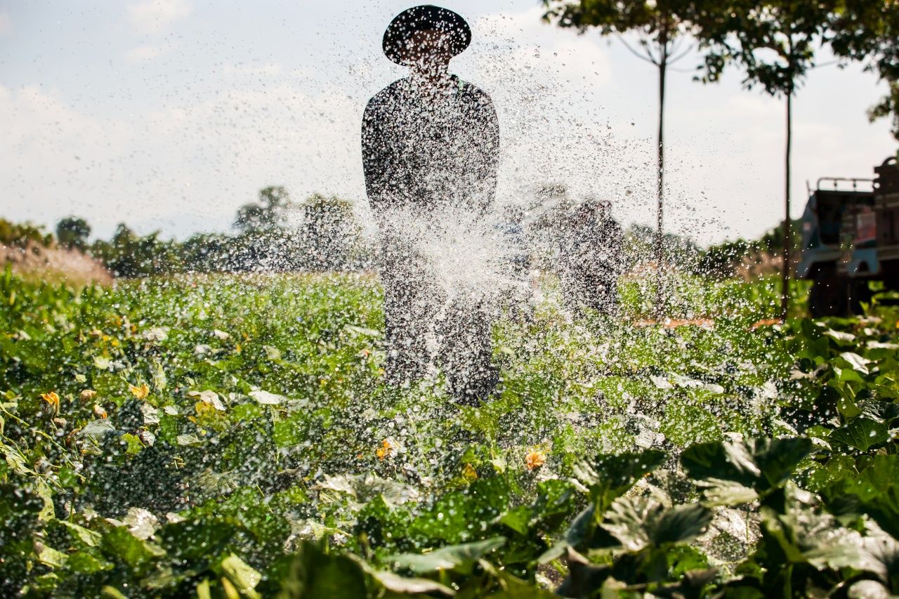 เอลนีโญ แรงที่สุด ยาวนาน 4-5 ปี ทำให้แล้งจัด น้ำน้อย