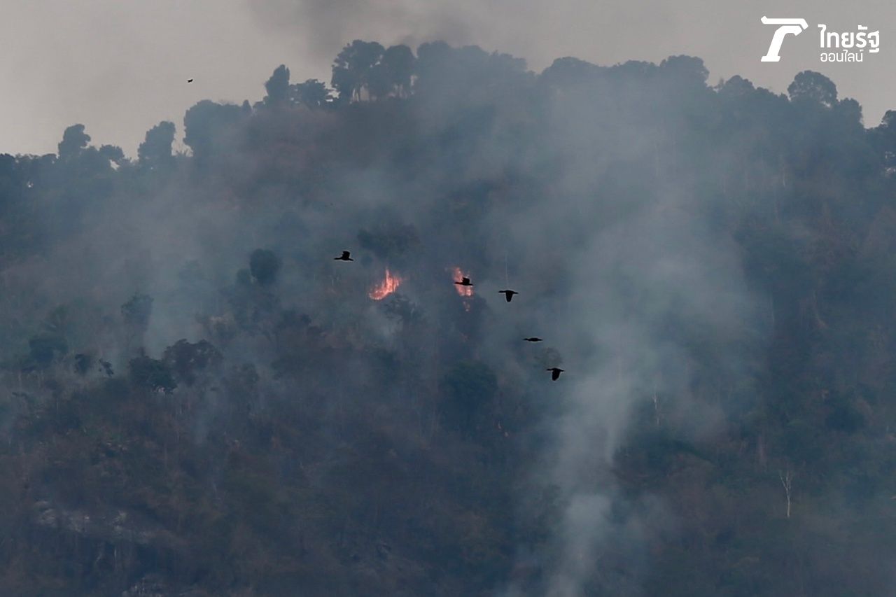 สภาพบนเนินเขาแหลม-เขาตะแบก พื้นที่บ้านเขาพระ จ.นครนายก ที่เกิดไฟไหม้ป่า ยังคงมีควันไฟลอยพวยพุ่งออกมา ในช่วงเช้าวันที่ 30 มีนาคม 2566 