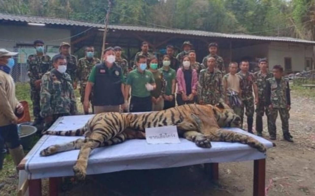 จนท.เก็บไว้เพียงกระดูก 