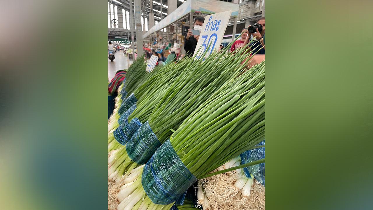 ยืนยัน "แมนโคเซบ" คราบสีฟ้าที่ใบต้นหอม ตลาดสี่มุมเมือง ไม่เป็นอันตราย
