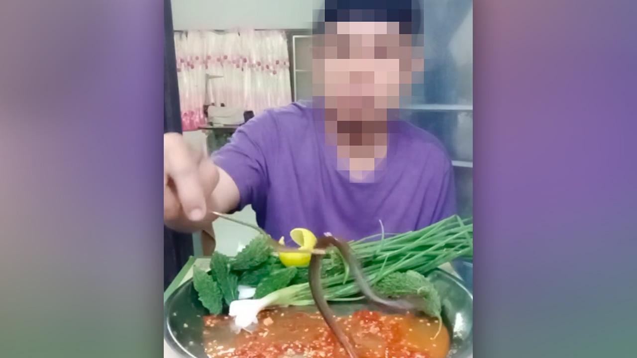 เพจดังเตือน กินซอยจุ๊ปลาไหล เปิบแบบสดๆ เสี่ยงตาย-พิการตลอดชีวิต