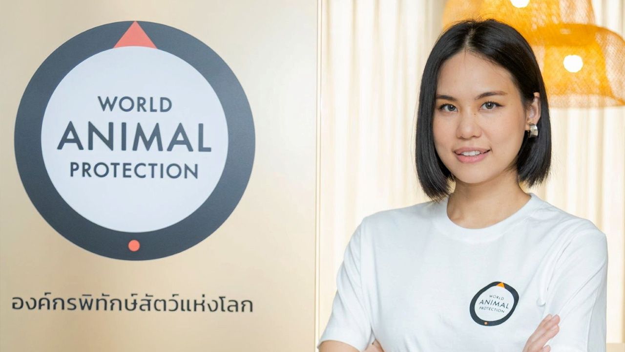 เหมือนดาว คงวรรณรัตน์