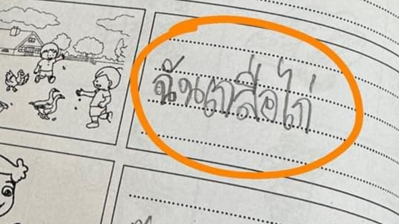 โซเชียลเอ็นดูคำตอบ หนูน้อย ป.1 แต่งประโยคจากภาพ "ฉันเกลือไก่"