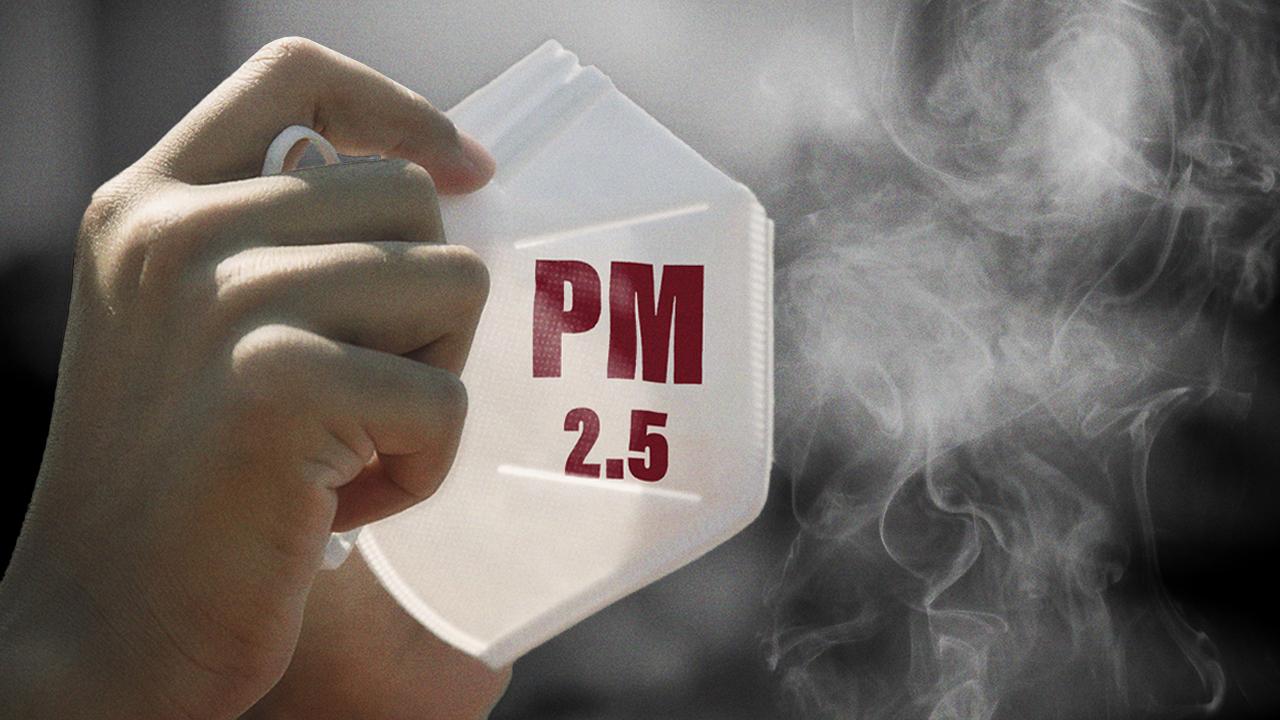 ชีวิตในเมืองฝุ่น ปี 65 คนกรุงฯ สูด PM 2.5 เทียบเท่าสูบบุหรี่กว่า 1,224 มวน