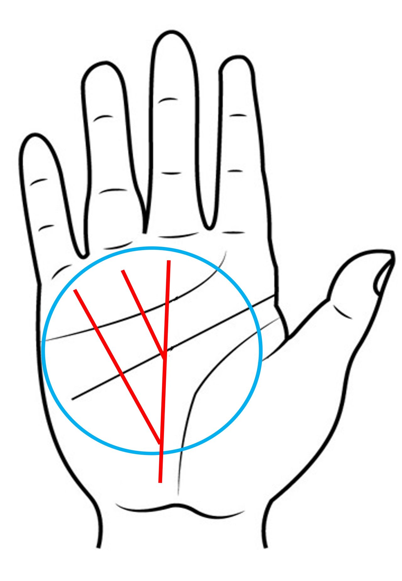 เส้นลายมือเศรษฐีมีทรัพย์