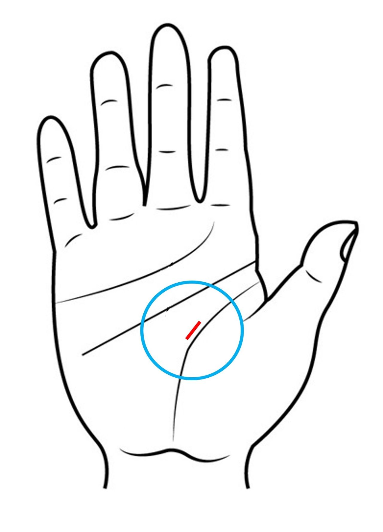 เส้นลาภที่ขนานไปกับเส้นชีวิต
