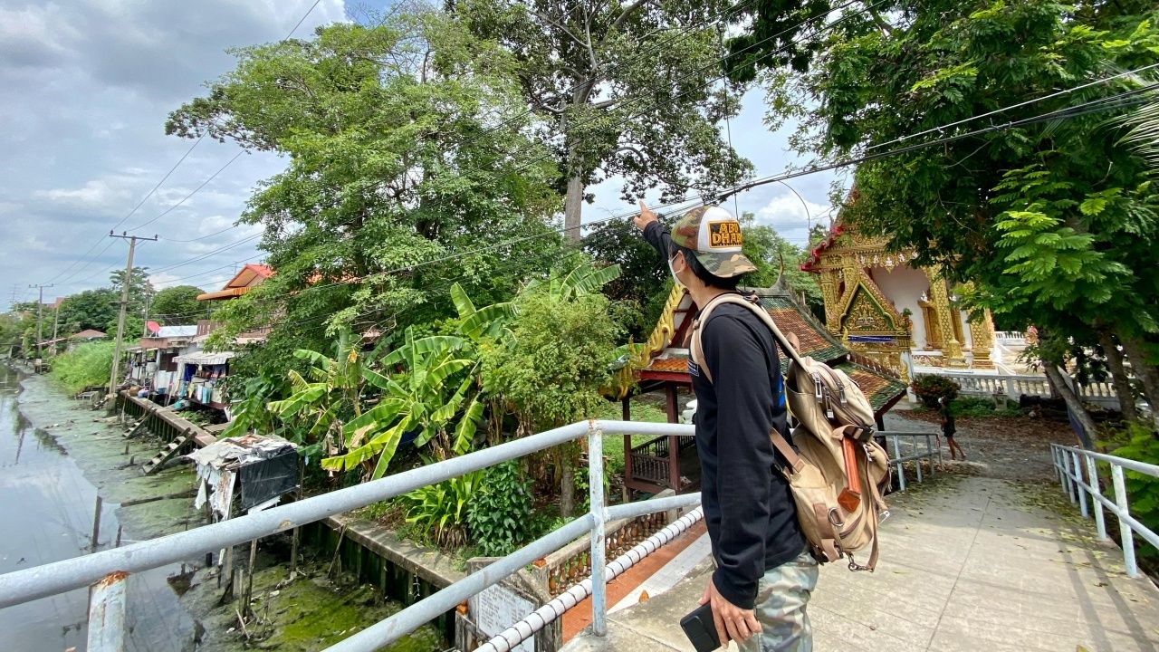 วัดสวนใหญ่ ต.วัดชลอ อ.บางกรวย จ.นนทบุรี จุดดูนกแก้วโม่ง ที่กลุ่มคนรักนกรู้จักกันดี 