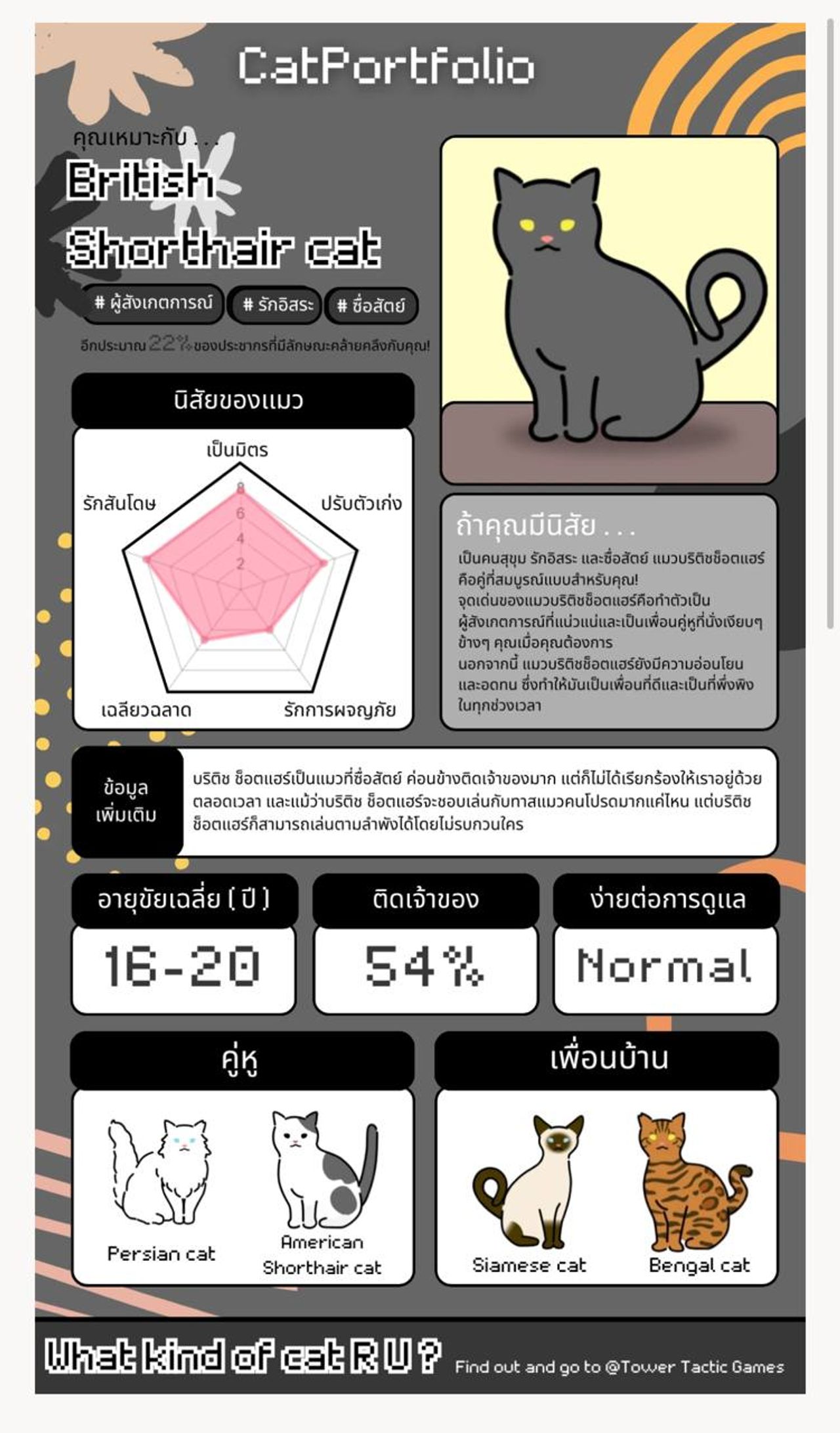 โปรไฟล์เจ้าเหมียวที่ได้หลังทำควิซเสร็จ