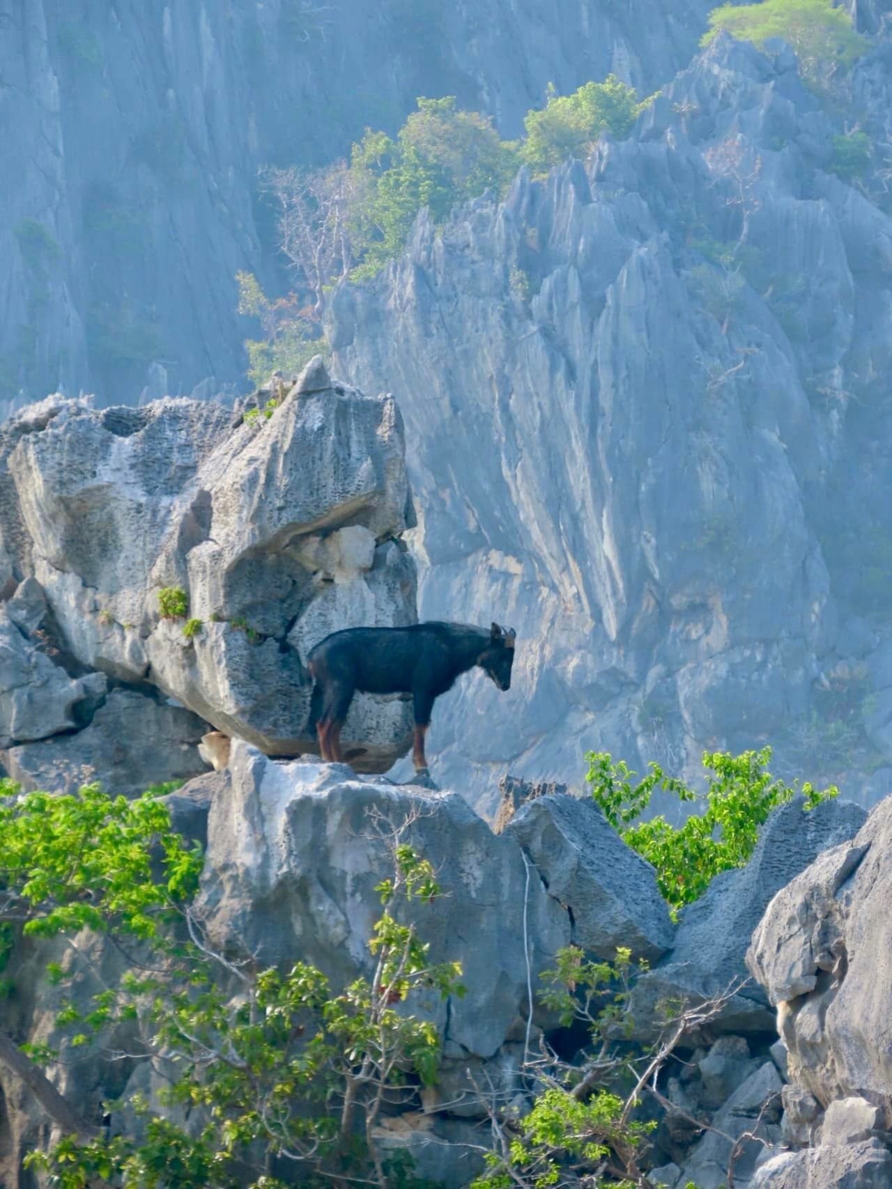 ภาพจาก : อุทยานฯ เขาสามร้อยยอด