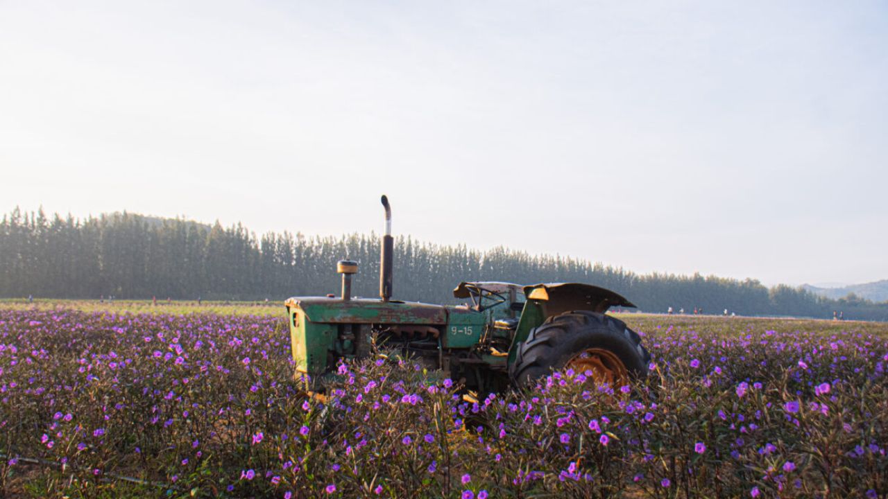 ขอบคุณภาพจากเว็บไซต์ Farm Chok Chai