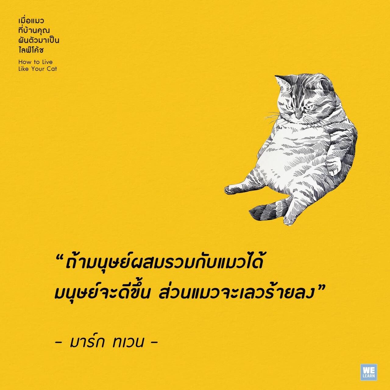 เมื่อแมวที่บ้านผันตัวเป็นไลฟ์โค้ช 