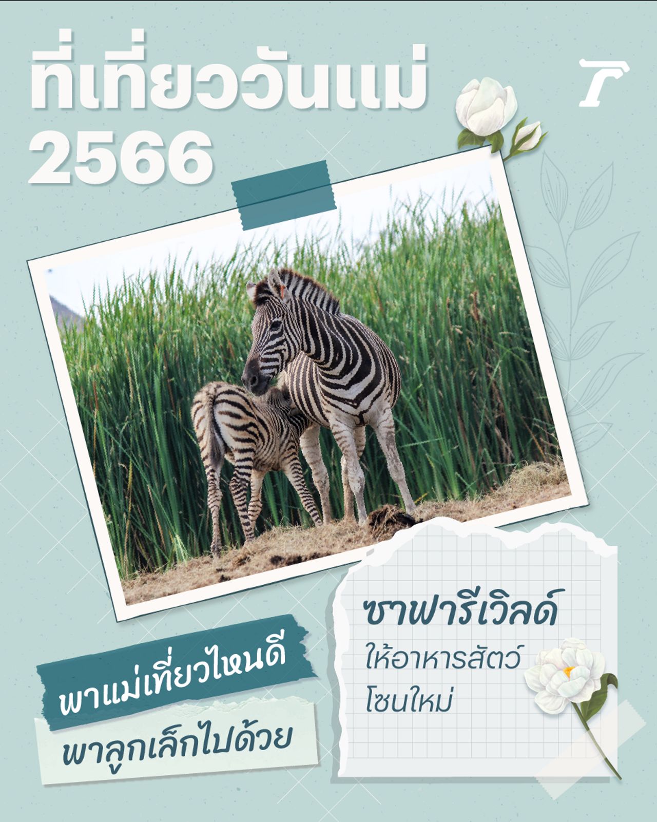 ภาพจาก https://www.facebook.com/safariworld.bangkok