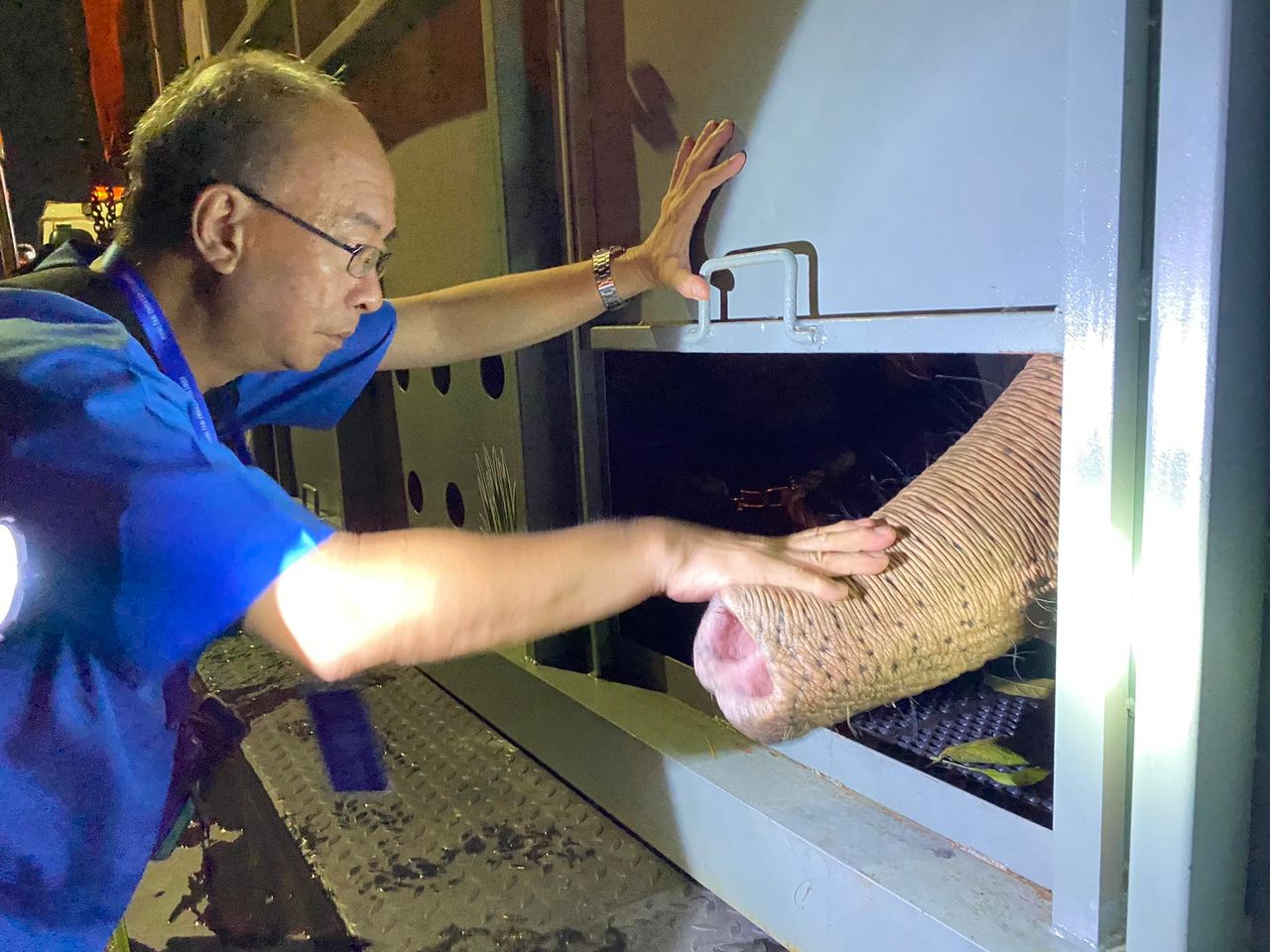 นายสัตวแพทย์วิสิทธิ์ อาศัยธรรมกุล ให้กำลังใจพลายศักดิ์สุรินทร์ ก่อนขึ้นเครื่องบินที่ศรีลังกา