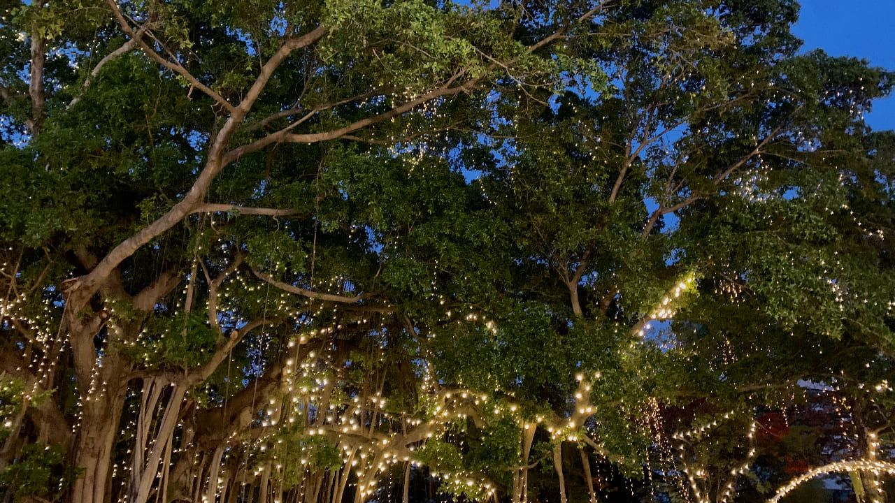 โซนนั่งชิลด้านหลัง ตกแต่งไฟ เพิ่มบรรยากาศอบอุ่น