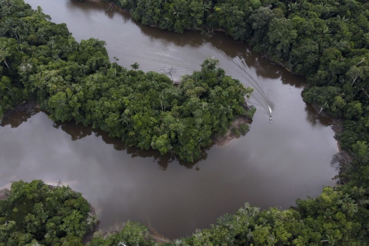 ป่าดิบชื้นแอมะซอน ในทวีปอเมริกาใต้