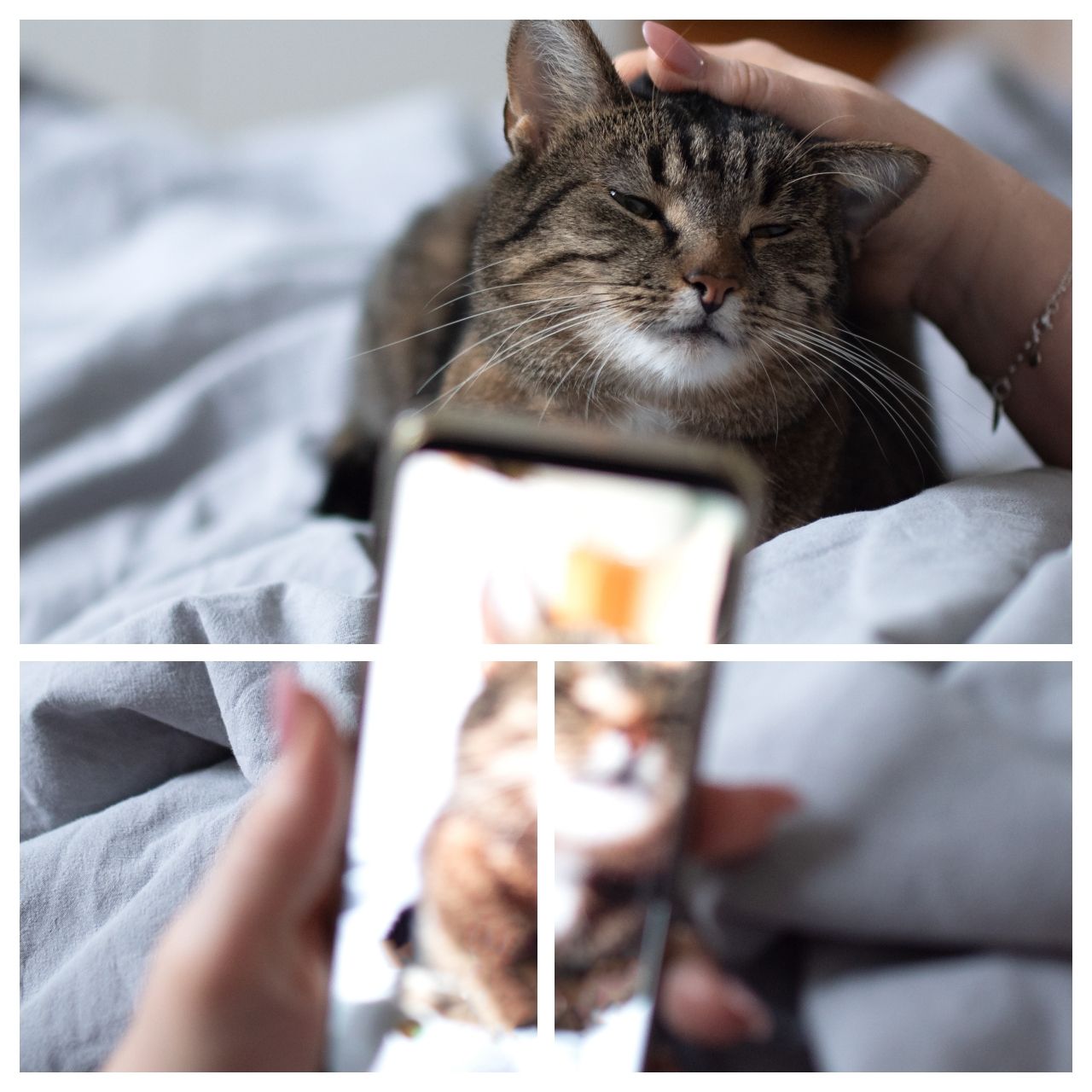 แบ่งรูป 2 ส่วน เป็นภาพจิ๊กซอว์ 3 รูป