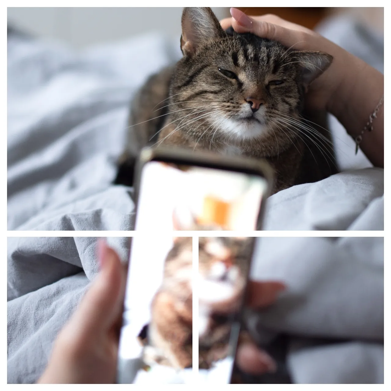 แบ่งรูป 2 ส่วน เป็นภาพจิ๊กซอว์ 3 รูป