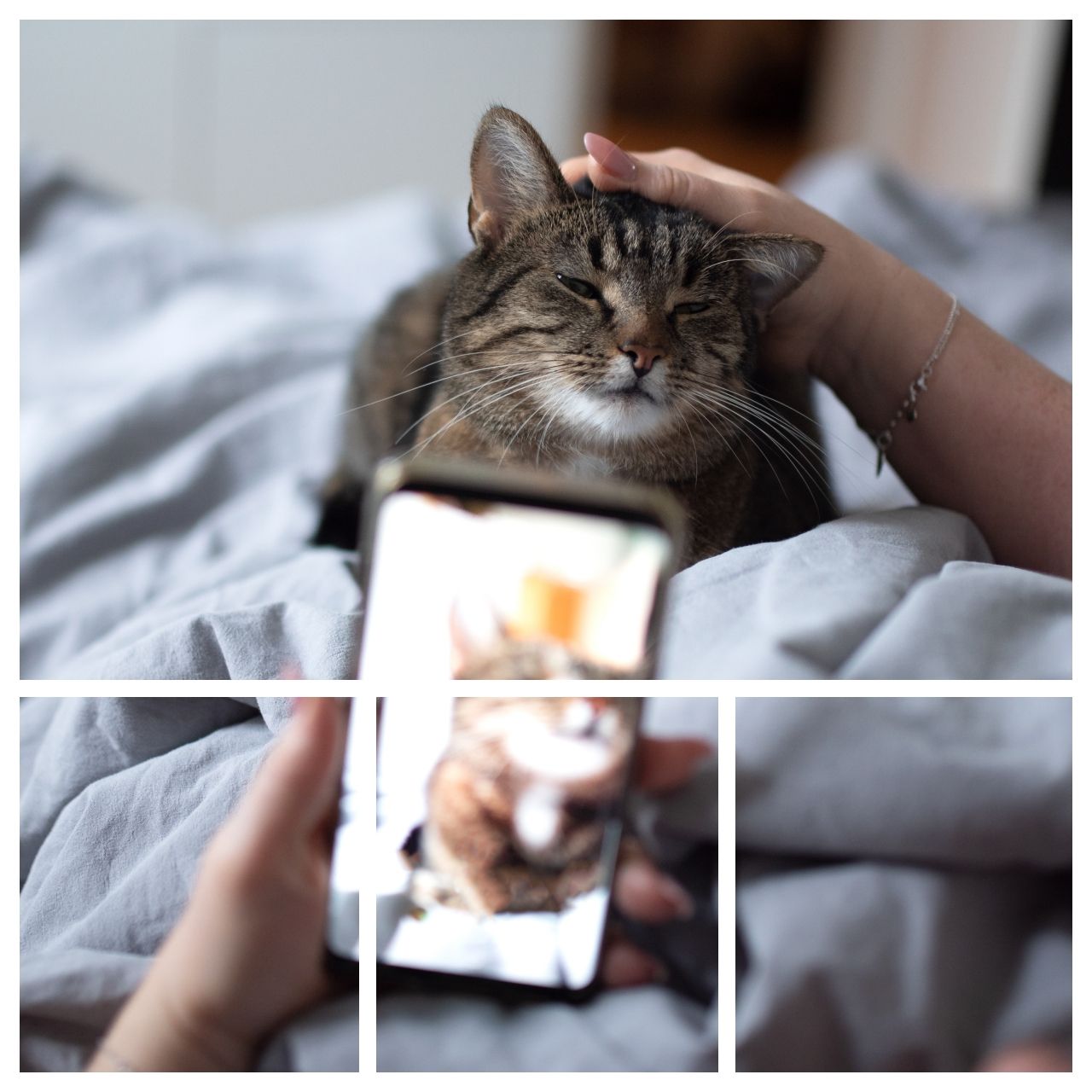 แบ่งรูป 2 ส่วน เป็นภาพจิ๊กซอว์ 4 รูป